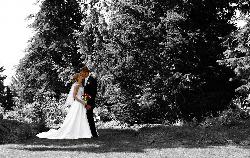 Photo-Wedding16x9.jpg